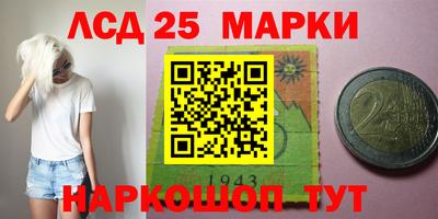 твердый Краснознаменск