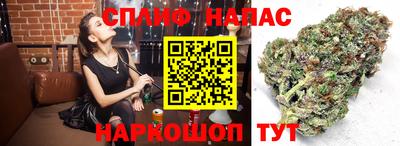 твердый Краснознаменск